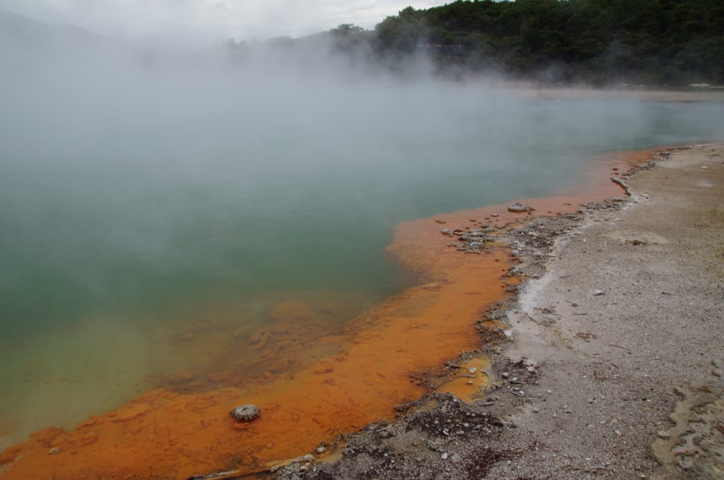 Champagne Pool