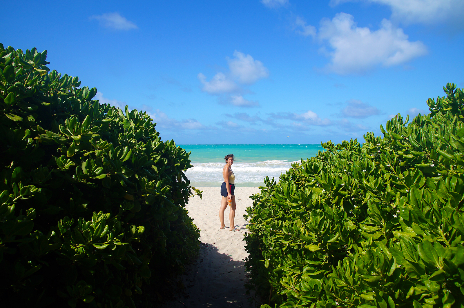 Strand Ostküste Oahu