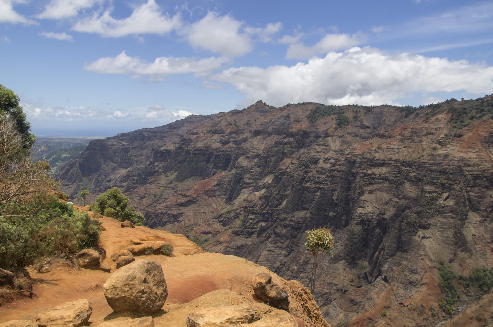 Waimea Trail