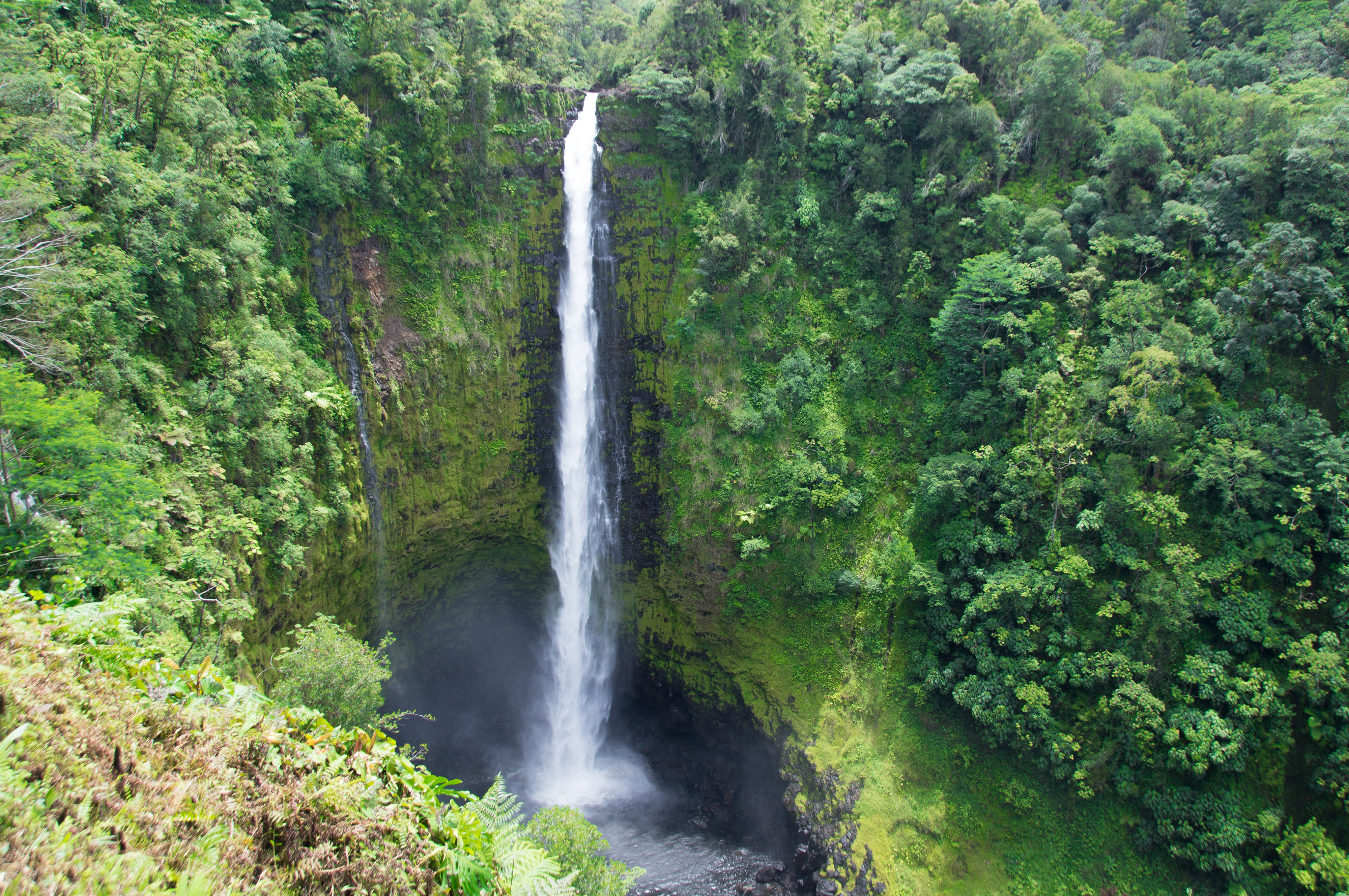 Akaka Falls