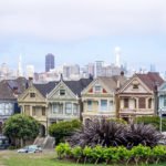 Painted Ladies