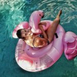 Flamingo im Pool