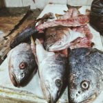 Fischköpfe